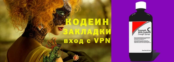 прущие грибы Верея