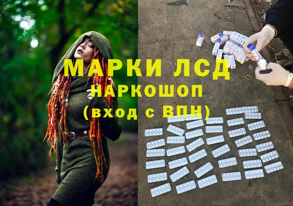 прущие грибы Верея
