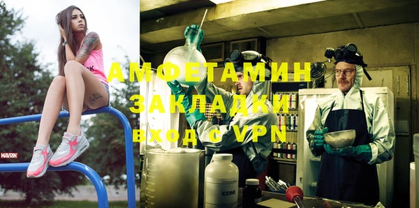 прущие грибы Верея