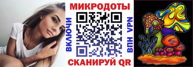 Псилоцибиновые грибы Psilocybine cubensis  Южноуральск 